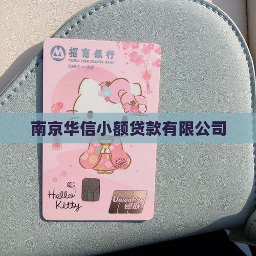 南京市华信小额贷款