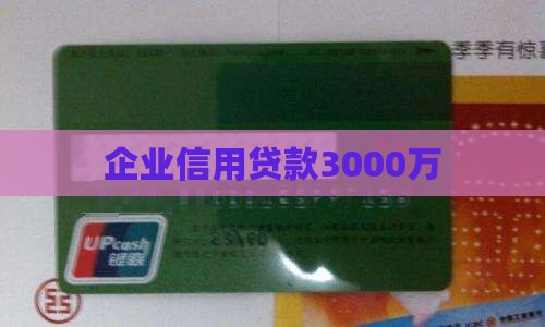 信用贷款3000万