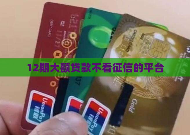 12期大额贷款不看征信