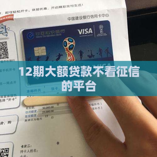12期大额贷款不看征信