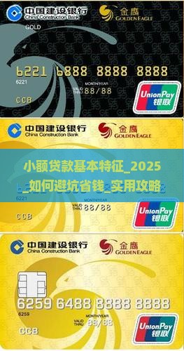 小额贷款基本特征