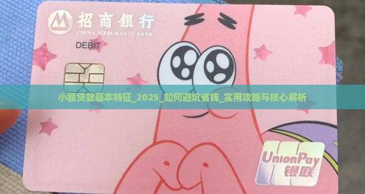 小额贷款基本特征