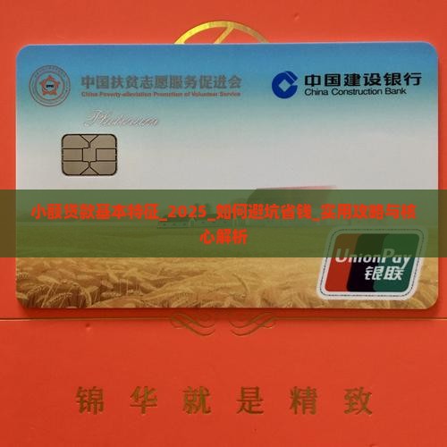小额贷款基本特征