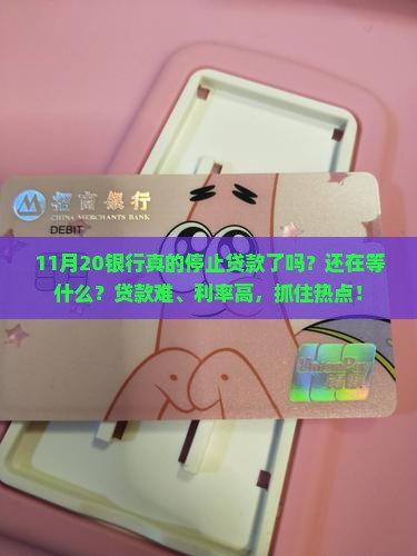 11月20银行停止贷款