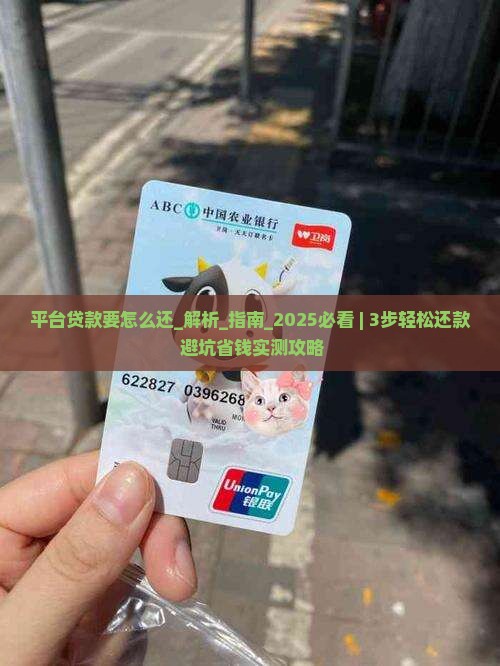 平台贷款要怎么还