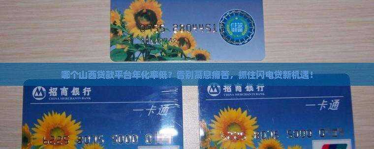 山西贷款年化率低的平台