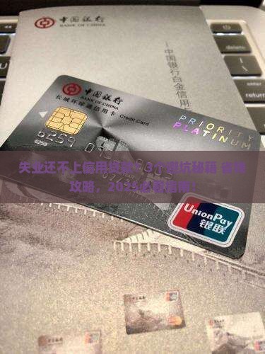 失业还不上信用贷款