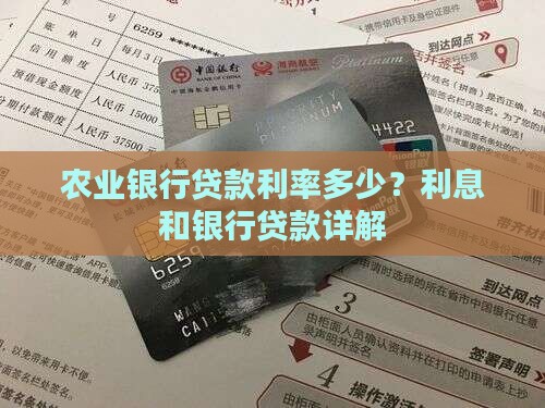 15年农业银行贷款利息