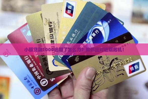 小额贷款1000的逾期