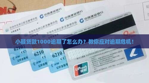小额贷款1000的逾期