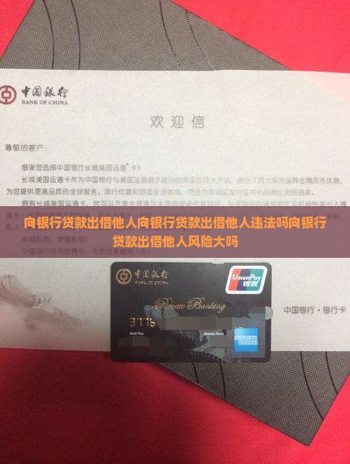 向银行贷款出借他人