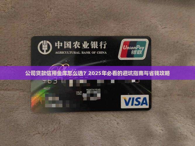 公司贷款信用金库怎么办