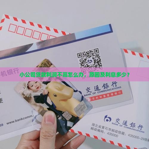 小公司贷款利润不高