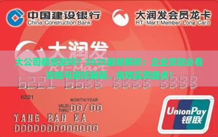 大公司都贷款吗