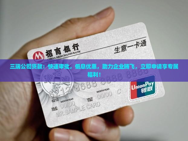 三瑞公司贷款
