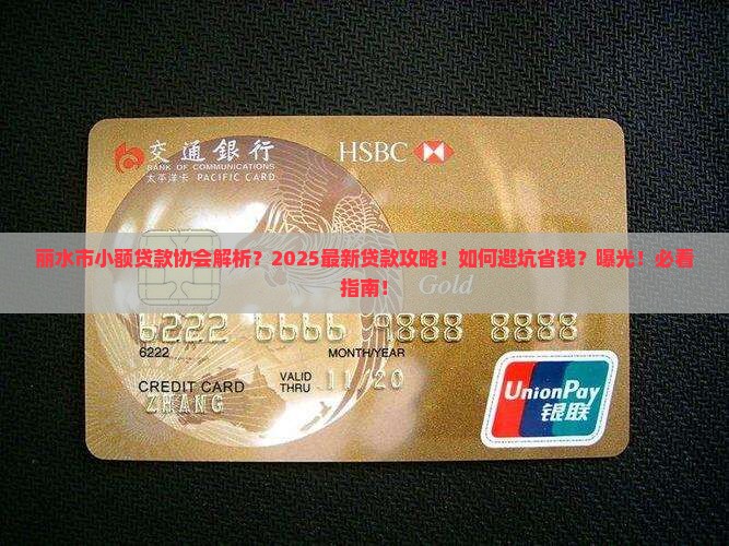 丽水市小额贷款协会