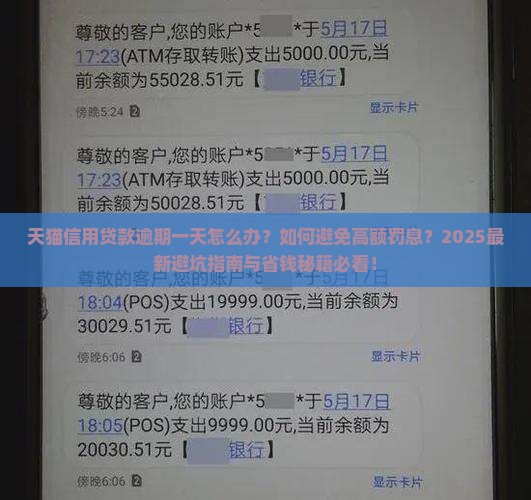天猫信用贷款逾期一天