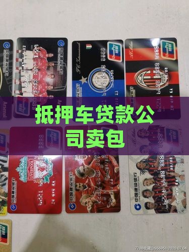 抵押车贷款公司卖包