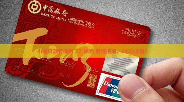 小额贷款老板跑了