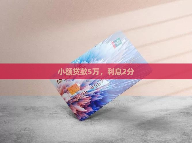 小额贷款5万利息2分