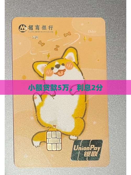 小额贷款5万利息2分