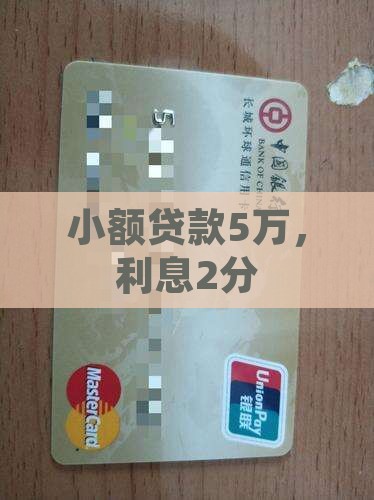 小额贷款5万利息2分