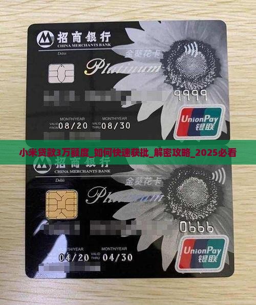 小米贷款3万额度
