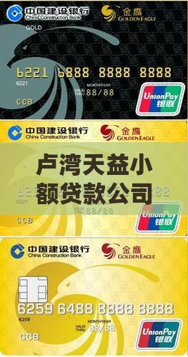 卢湾天益小额贷款