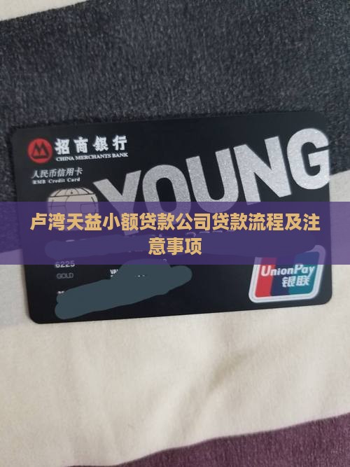 卢湾天益小额贷款