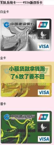 小额贷款拿钱跑了6