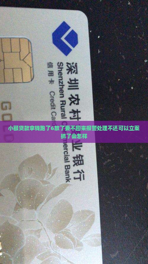小额贷款拿钱跑了6