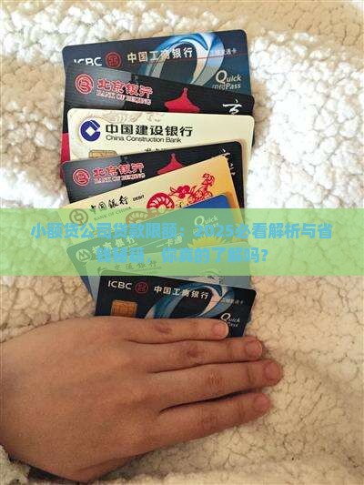 小额贷公司的贷款限额