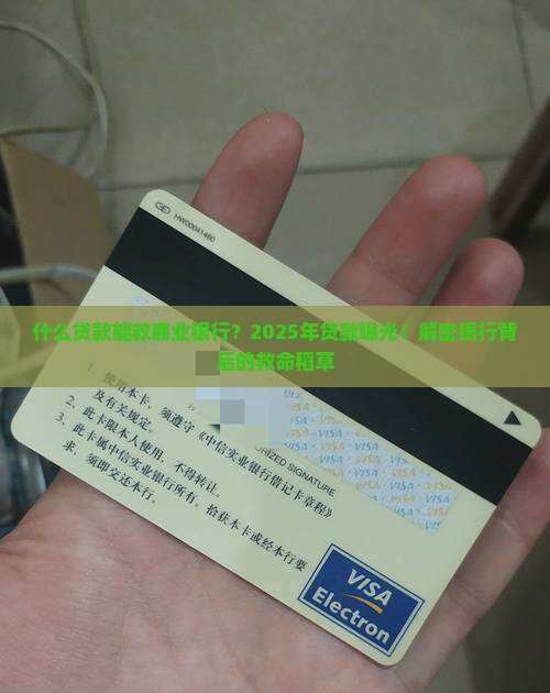 什么贷款支持商业银行