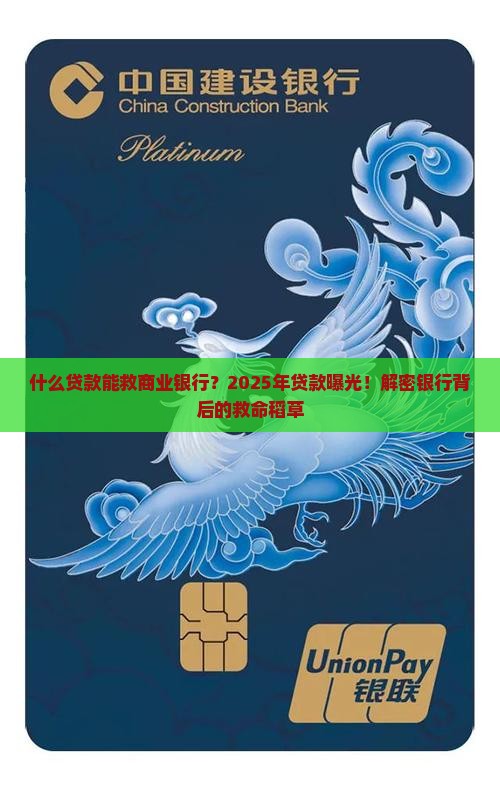 什么贷款支持商业银行