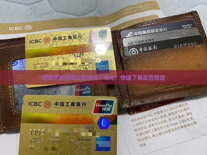 信用贷款担保公司接吗