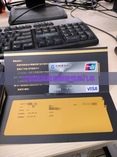 小额贷款短期期限借款几年