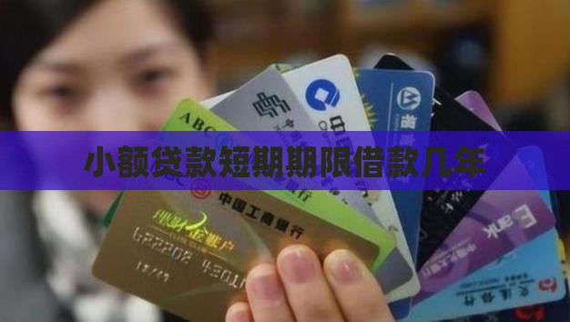 小额贷款短期期限借款几年