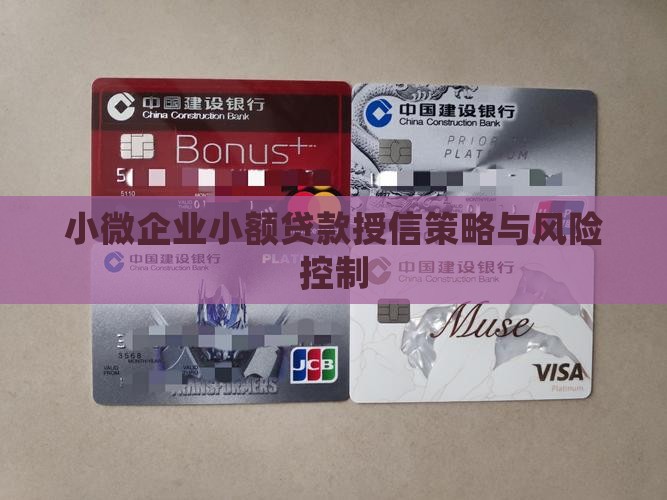 小微企业小额贷款授信策略与风险控制