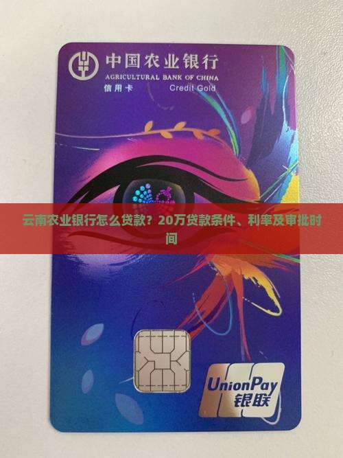 云南农业银行怎么贷款？20万贷款条件、利率及审批时间
