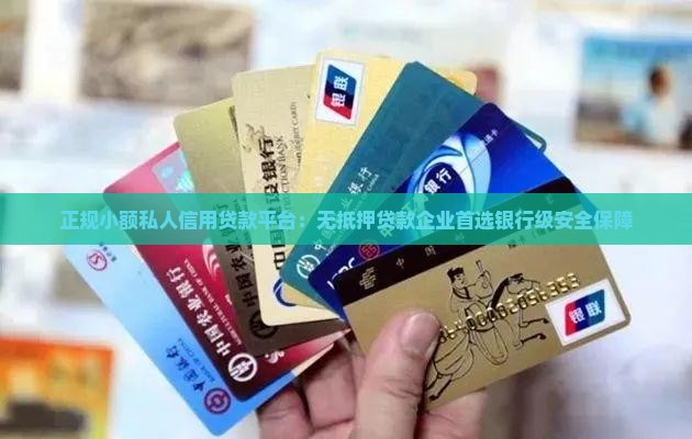正规小额私人信用贷款平台：无抵押贷款企业首选银行级安全保障