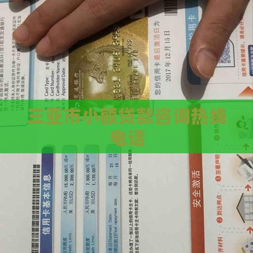 三亚市小额贷款咨询热线电话