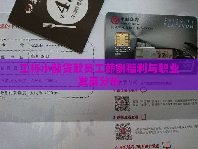 工行小额贷款员工薪酬福利与职业发展分析