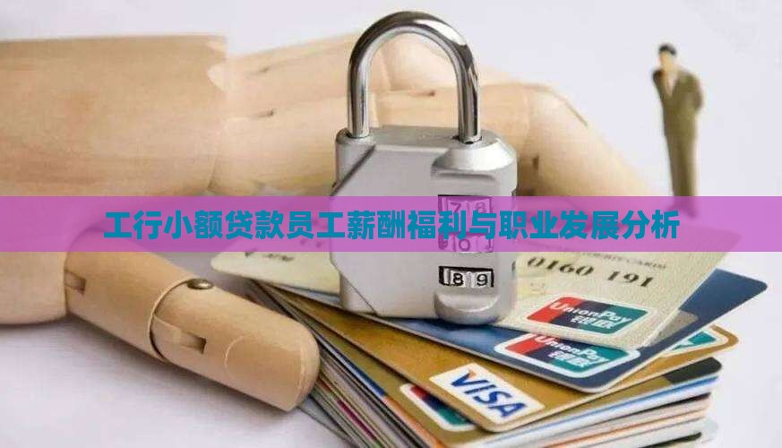 工行小额贷款员工薪酬福利与职业发展分析