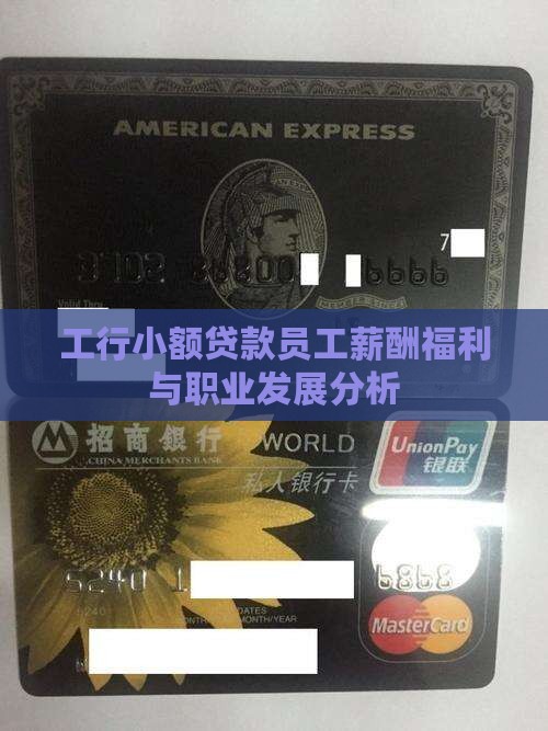 工行小额贷款员工薪酬福利与职业发展分析