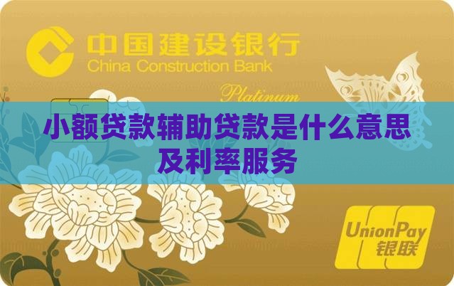小额贷款辅助贷款是什么意思及利率服务