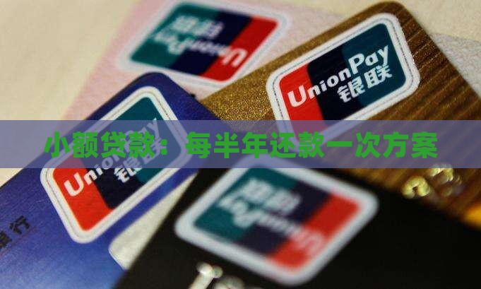 小额贷款：每半年还款一次方案