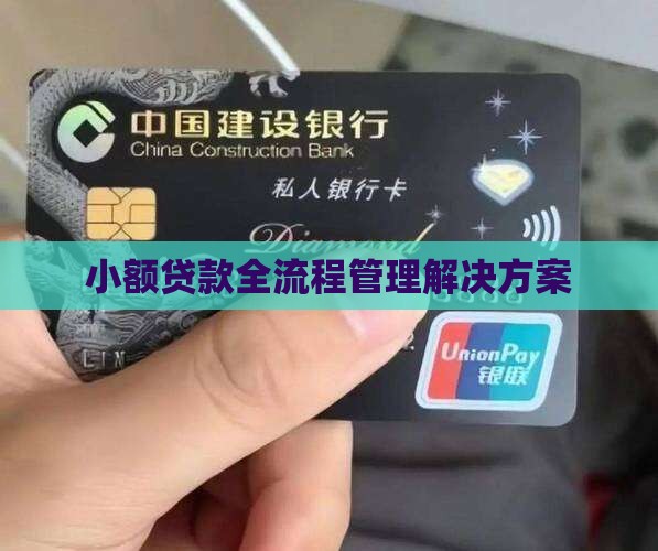 小额贷款全流程管理解决方案