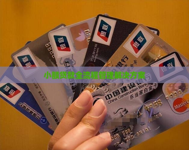 小额贷款全流程管理解决方案