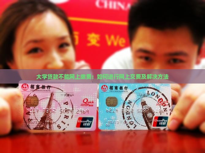 大学贷款不能网上缴费：如何进行网上交费及解决方法