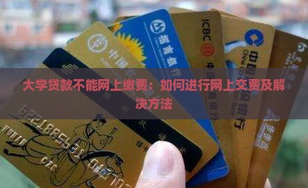 大学贷款不能网上缴费：如何进行网上交费及解决方法
